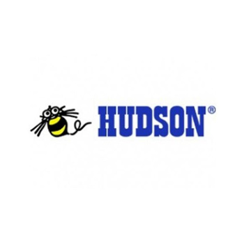 Hudson Soft