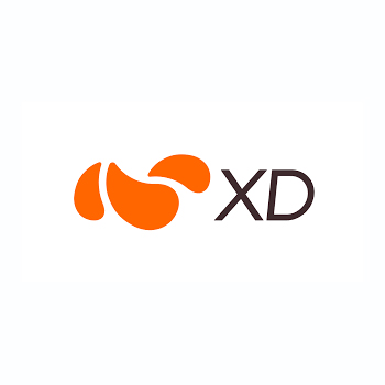 X.D. Network Inc.