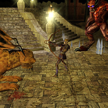 Neverwinter Nights