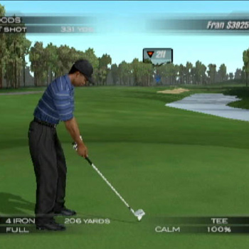 Tiger Woods PGA Tour 2004