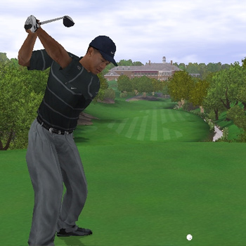 Tiger Woods PGA Tour 2005