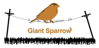 Giant Sparrow
