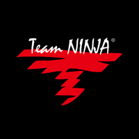 Team Ninja